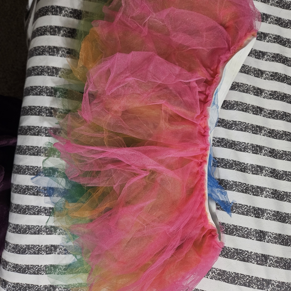 Colorful Tulle Skirt